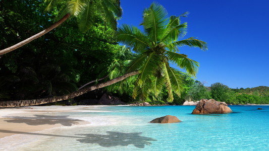 Traveling to Seychelles: A Paradise Unveiled